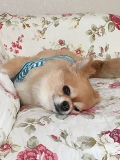 image-d3481.jpeg